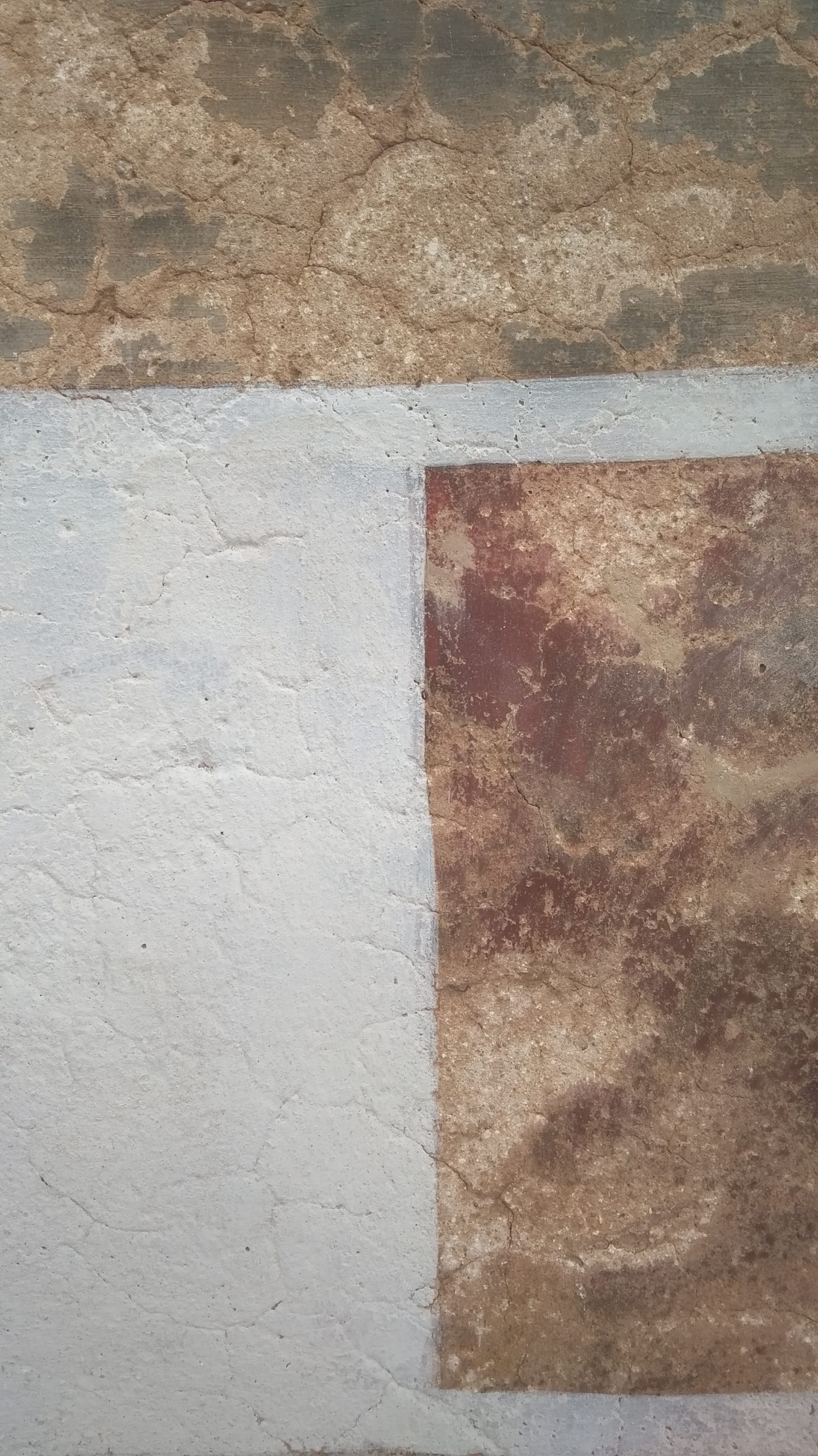 IMG_20200305_123311-scaled